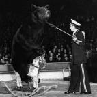 5c8b114324000093024cc6eb