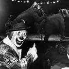 5c8b11432000004504701177