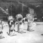 5c8b1144200000430470117b