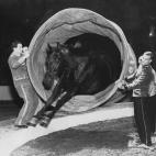 5c8b1145230000dd042407c4