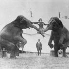 5c8b11452300007f012407c6