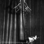 5c8b11462500000704c9f7cd