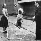 5c8b11463b000070066ce53a