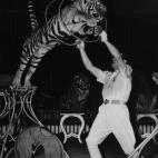 5c8b11492300007f012407d6