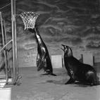 5c8b11492500000d04c9f7d9