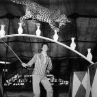 5c8b114a22000033001a3422