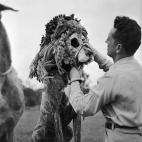 5c8b114a22000031001a3424