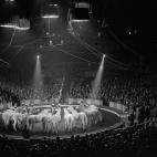 5c8b114b2500000d04c9f7dd