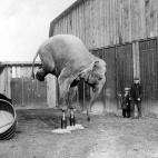 5c8b114b22000031001a3427