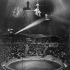 5c8b114c360000ba1a6c637b