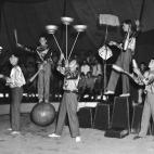 5c8b114e2500001304c9f7e7