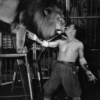 5c8b114f2500000704c9f7e9