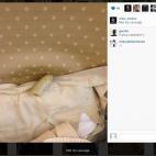 Foto de la cuenta de Instagram de Alan Cross, con imágenes del resultado de turbulencias en un avión a la hora de comer