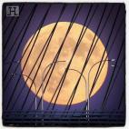 5c8b23ad2500000d04ca25bf