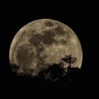 5c8b23ae3b000070066d12a5