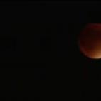 5c8b23b0360000c81a6c91bc