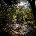Paisaje en lo alto de la Sierra Madre de Guerrero. Generosa, abasteció a los vecinos recién llegados de alimentos. Luego también se hizo productora de marihuana y de adormidera (destinada a la producción de la heroína). Con ello, llego la...
