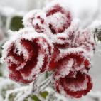 5c8b24192400006d054cf5d9