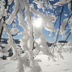 5c8b241922000033001a6342