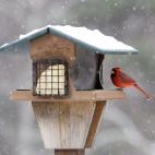 5c8b241a360000a61b6c92be