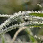 5c8b241b2400006d054cf5dd