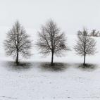 5c8b241b2300003000e7ae24