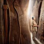 Mira Nakashima; diseñadora y ebanista en George Nakashima Woodworking. Foto tomada en New Hope, Pensilvania.