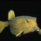 5c8a9dff2500000d04c94835