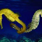 5c8a9dff20000045046f6405