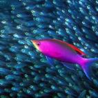 5c8a9e0120000043046f640b