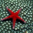 5c8a9e0124000093024c17b6