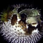 5c8a9e022500000704c9483d