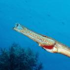 5c8a9e022400006d054c17b8