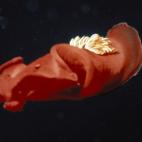 5c8a9e022500000d04c9483f