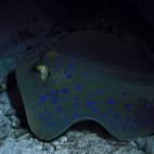 5c8a9e032300007f012357cc