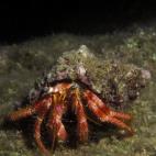 5c8a9e032400006c05a352c8