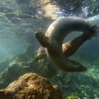 5c8a9e042500000a068162b3