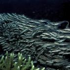 5c8a9e04230000dd042357d2