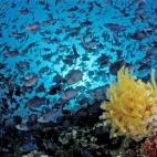 5c8a9e04240000f404a352ca