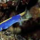 5c8a9e0523000004012357d6