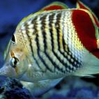 5c8a9e052400006d054c17be