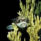 5c8a9e062300002f00e6cf40