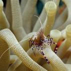 5c8a9e072400006b054c17c2