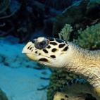 5c8a9e072000009e046f6418