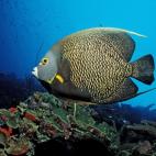 5c8a9e08360000c81a6bb603