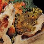 5c8a9e0825000058068162c2