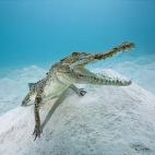 5c8a9e083b000054066c36c1