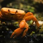 5c8a9e09250000e203c94851