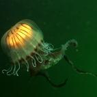 5c8a9e092300002f00e6cf4e