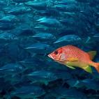 5c8a9e0c250000bd058162d5